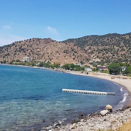 Sweet Horses Hh4 Hotel